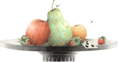 Still Life, Apple and Pear